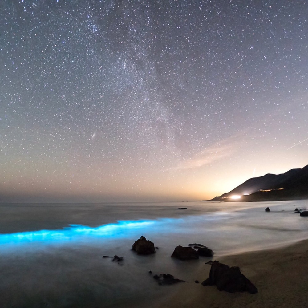 Meet your Posher. Maikai. - Latest Goodies: Polewear Rave Pieces Purses Shoes